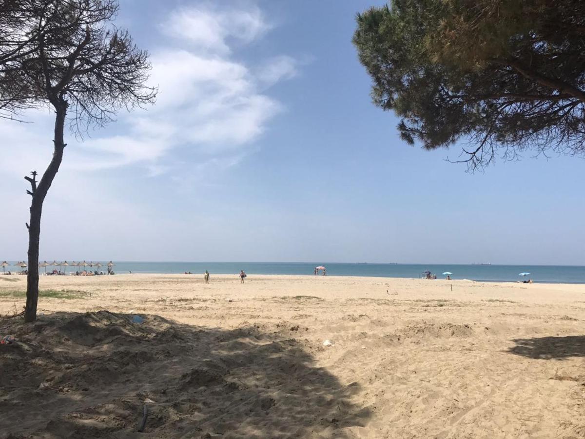Villa Seafront With A Stunning Garden *