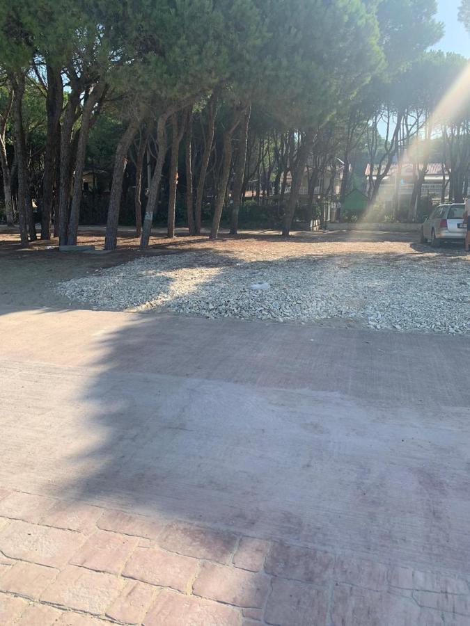 Villa Seafront With A Stunning Garden