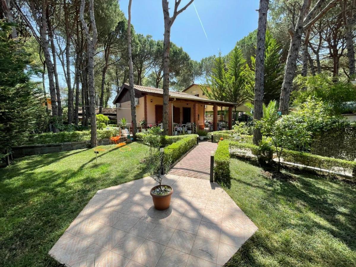 Seafront With A Stunning Garden *