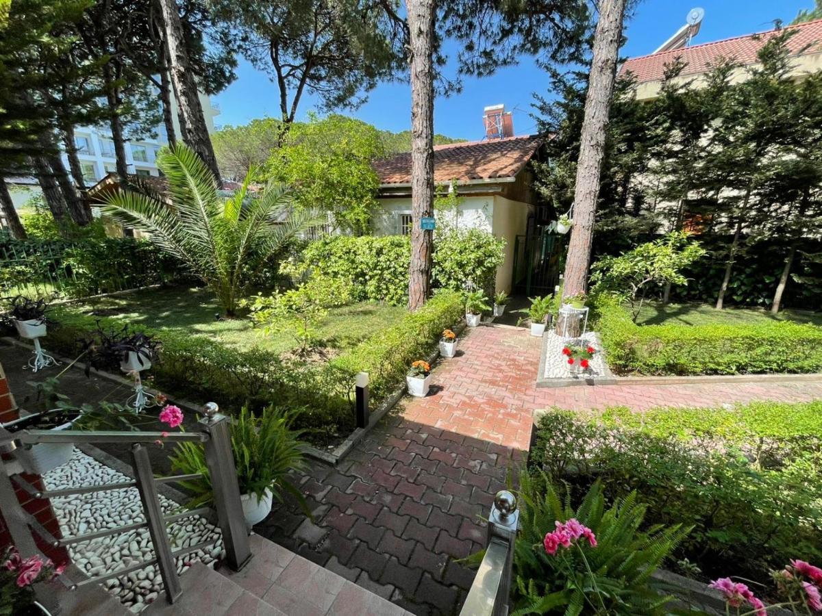 Villa Seafront With A Stunning Garden